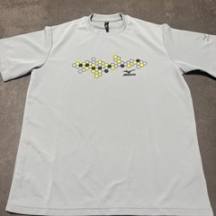 mizunoミズノスポーツウェア2枚セットの画像