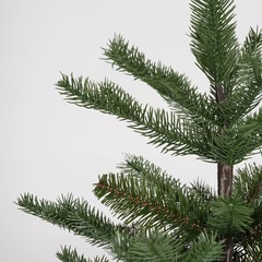 IKEA クリスマスツリー　150cmの画像