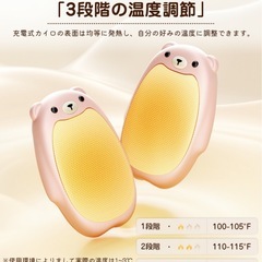 【可愛い動物キャラ!!】充電式カイロ マグネット 分離式  3段階温度調節 防寒グッズ 可愛い ピンクの画像
