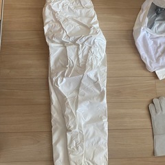 蜂防護服　ラプターPRO GALE V-2200の画像