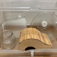 ハムスター飼育セット　冬用ポカポカヒーター付き　砂　迷路付きの画像