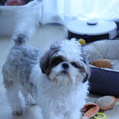 【急募】利用者さまに“そっと寄り添う”訪問看護師／パート・時短可／首里駅近くの画像