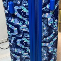 大きめスーツケース 花柄 4輪キャリーの画像