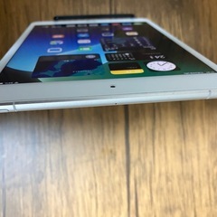 iPad mini5 256GB Wi-Fi+Cellularの画像