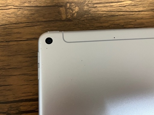 iPad mini5 256GB Wi-Fi+Cellular