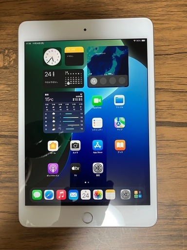 iPad iPad mini5 256GB Wi-Fi+Cellular