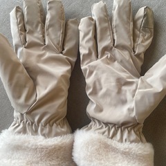 レディース手袋の画像