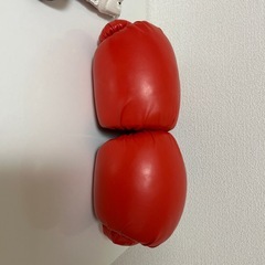 グローブセットの画像