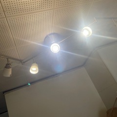 シーリングライトの画像