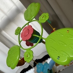 プーメリーの画像