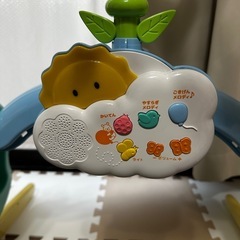 プーメリーの画像