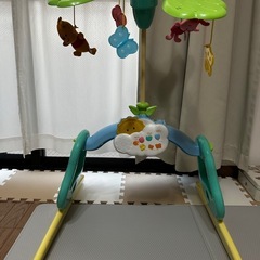 プーメリーの画像