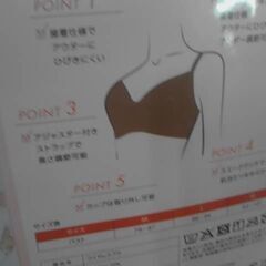 コストコ商品番号　74787　トリンプ・インターナショナル・ジャパン ワイヤーフリー ブラ 2枚組　A17448の画像