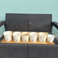 ガーデニングの画像