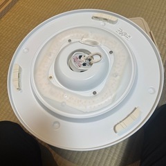 シーリングライト　カバー無しの画像