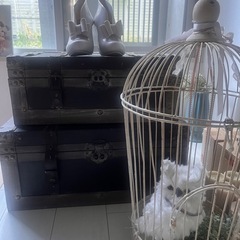 ヴァインテージボックスセットの画像