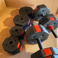 Wout ダンベル 2個 40kg セット（バーベルなし）の画像