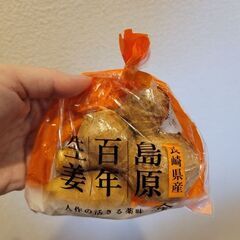 【無農薬野菜】11月26日(水)着 ふるさと納税 島原 野菜 レタス 水菜 生姜の画像