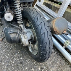 ライブDIO zxの画像