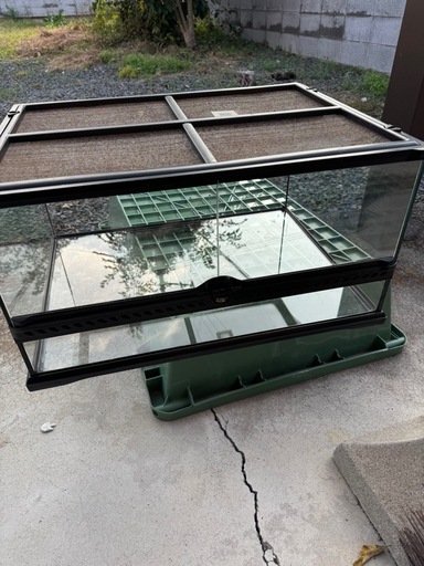 爬虫類グラステラリウム60