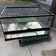 爬虫類グラステラリウム60の画像