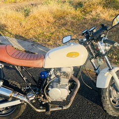 バイク50ccエイプ50 AC16原付50cc APE50ccの画像