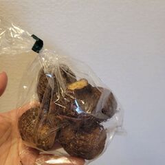 【無農薬野菜】11月26日(水)着 ふるさと納税 島原 野菜 レタス 水菜 生姜の画像