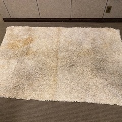 ラグカーペットの画像