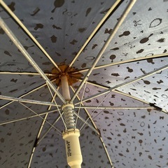 傘　女の子の画像