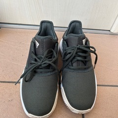 adidas シューズ 靴24cm カーキの画像