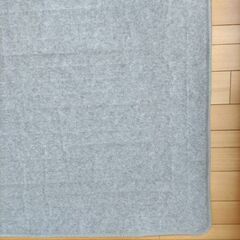 2畳ホットカーペットの画像