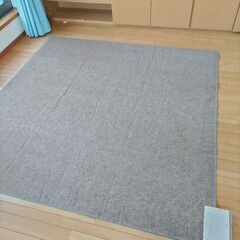 2畳ホットカーペットの画像