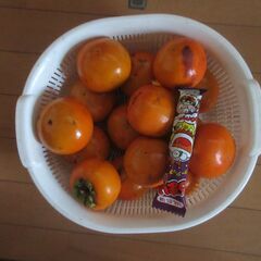 受渡者決定　甘柿　１５個の画像