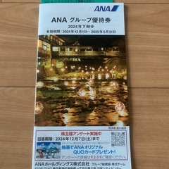 ANA株主優待券 1枚 2025年11月30日までの画像