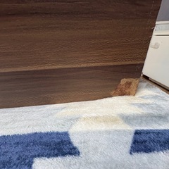 ローテーブルの天板のみ‼️の画像