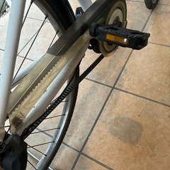 アルベルトの画像