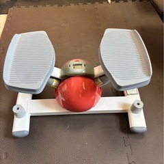 ツイストステッパーの画像