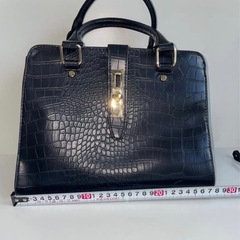 クロコダイル風　バッグの画像
