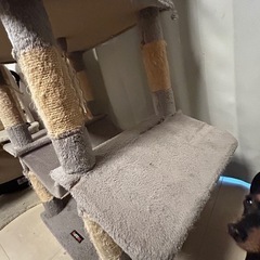キャットタワー使用感ありの画像