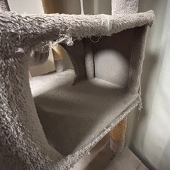 キャットタワー使用感ありの画像