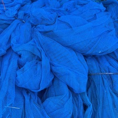 ネット網の画像