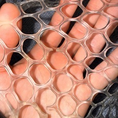 フィッシング
ネットの画像