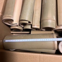 割った竹の画像