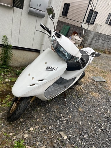 6.5万★実働★自賠責R11.4月★Live Dio ZX★後期シャッターキー★ゼックス