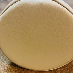 ★正規品★LPN StretchPole EX ストレッチポールEX　アイボリーの画像