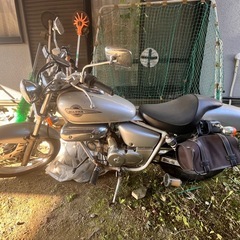 マグナ50（88ccボアアップ）の画像