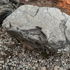 庭石(早めの取引希望)の画像