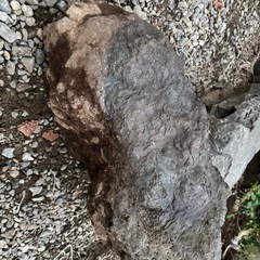 庭石(早めの取引希望)の画像