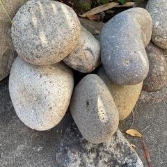 外構用の石　300個程度の画像