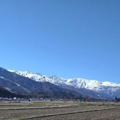 25－26　スキー仲間募集